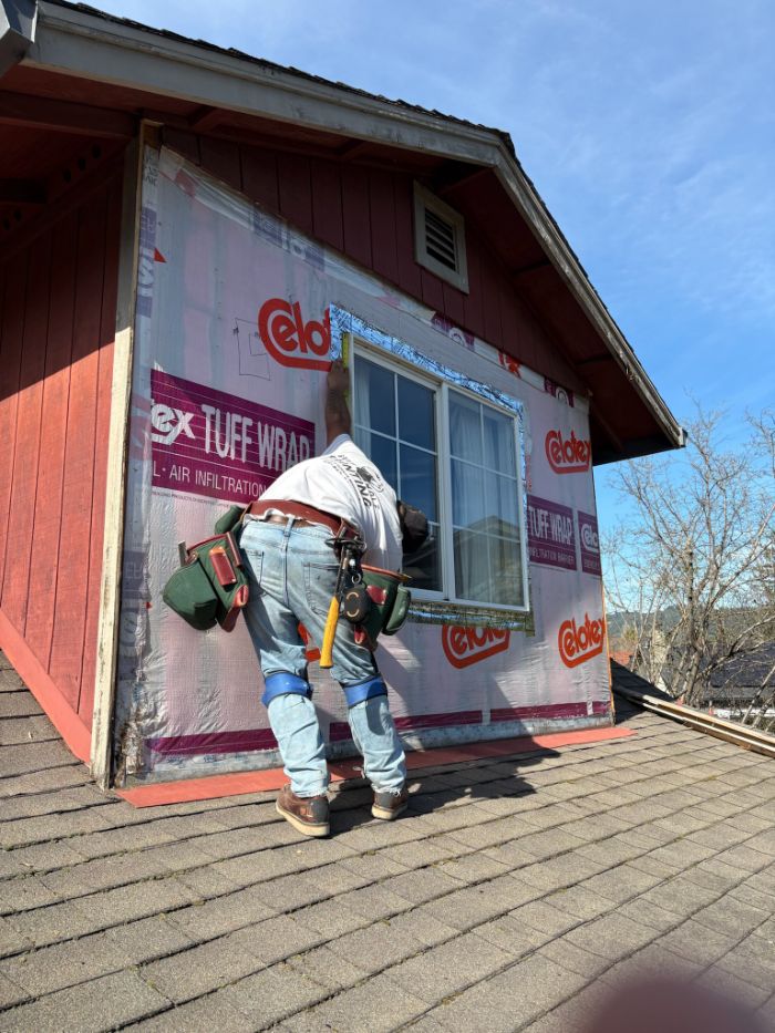 dry-rot-repair-homes