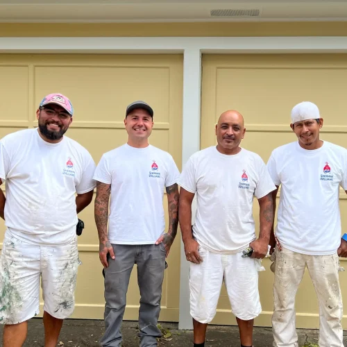 Santa Rosa Painters working on a home exterior in the city of Santa Rosa